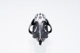 Saber Toothed Tiger Pendant : (S)-ZOCALO.JAPAN
