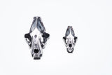Saber Toothed Tiger Pendant : (L)-ZOCALO.JAPAN