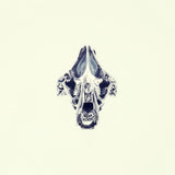 Saber Toothed Tiger Ring (S)-ZOCALO.JAPAN